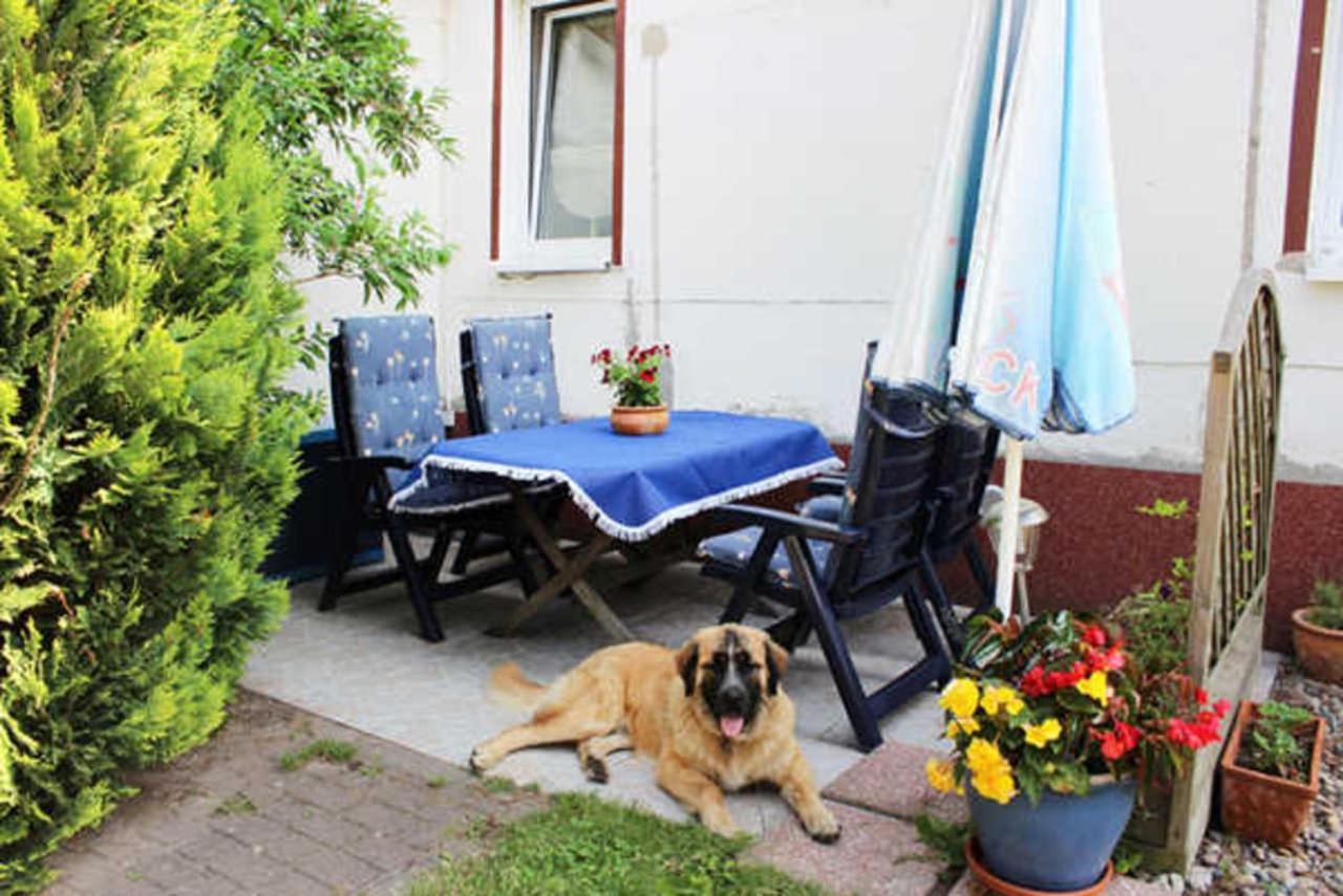 Ferienwohnung Isabell Ostseebad Ostseebad Zinnowitz Exterior foto